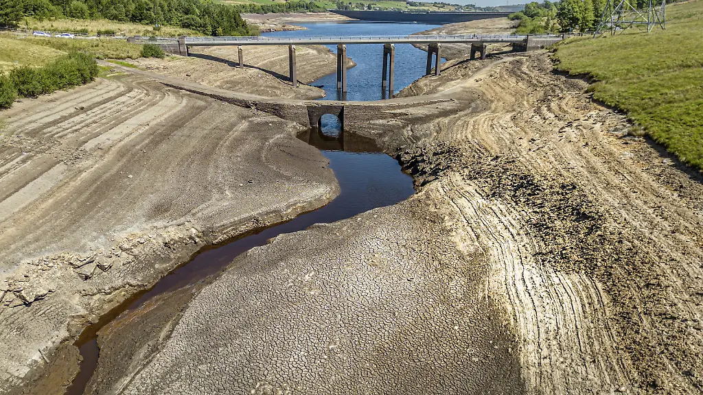 b98691335351069eea53fb4288ee4e65