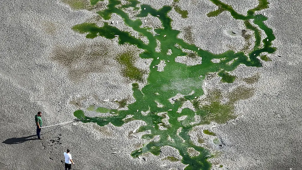 Blick-auf-den-nahezu-ausgetrocknetem-Teich-in-Mettmann