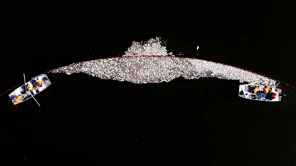 4a04c8e1a63a7fd6ef378f6bd94db6f1