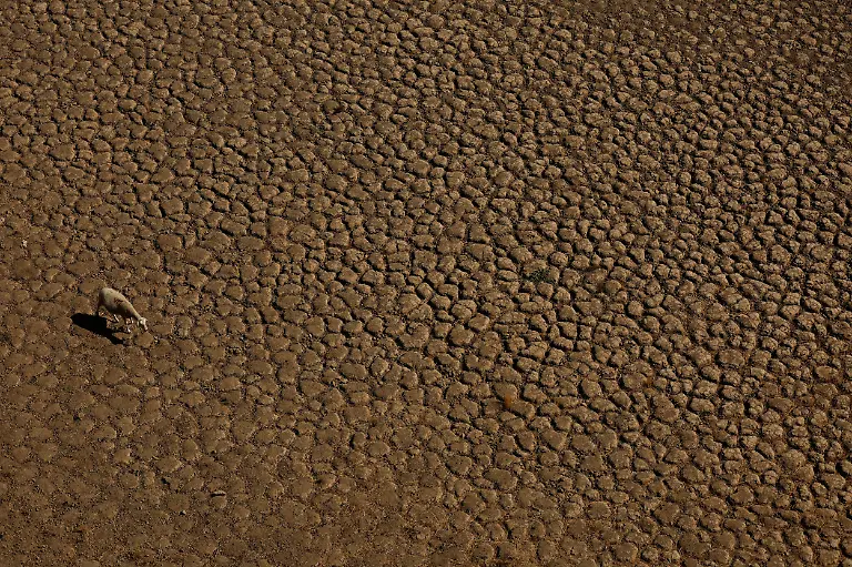 2022-08-10T123410Z-794191269-RC25RV9OMSBJ-RTRMADP-3-EUROPE-WEATHER-SPAIN-DROUGHT