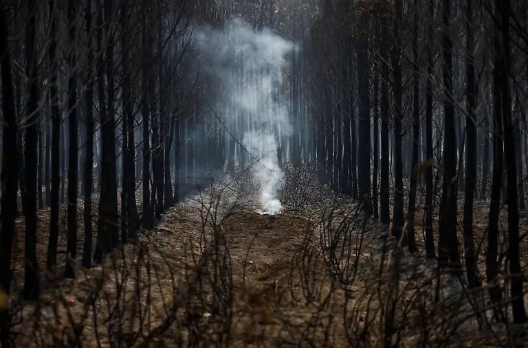 2022-08-11T115158Z-274854365-RC2BUV9KK8HD-RTRMADP-3-EUROPE-WEATHER-FRANCE-WILDFIRE