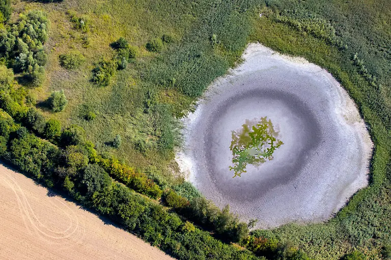 Ein-kleiner-Teich-in-Wuelfrath-Nordrhein-Westfalen-ist-komplett-ausgetrocknet-die-Algen-liegen-auf-dem-Grund