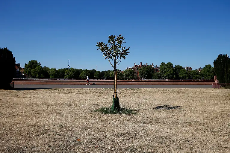 2022-08-11T152047Z-889777722-RC2FUV98UK9P-RTRMADP-3-EUROPE-WEATHER-BRITAIN