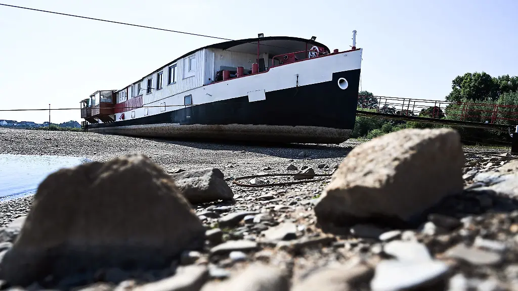 Trockengefallen-liegt-ein-Schiff-zwischen-den-Buhnen-am-Rhein