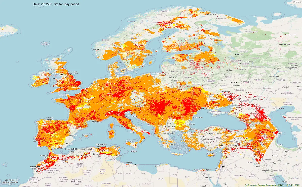 CDI-3rd-period-july-2022