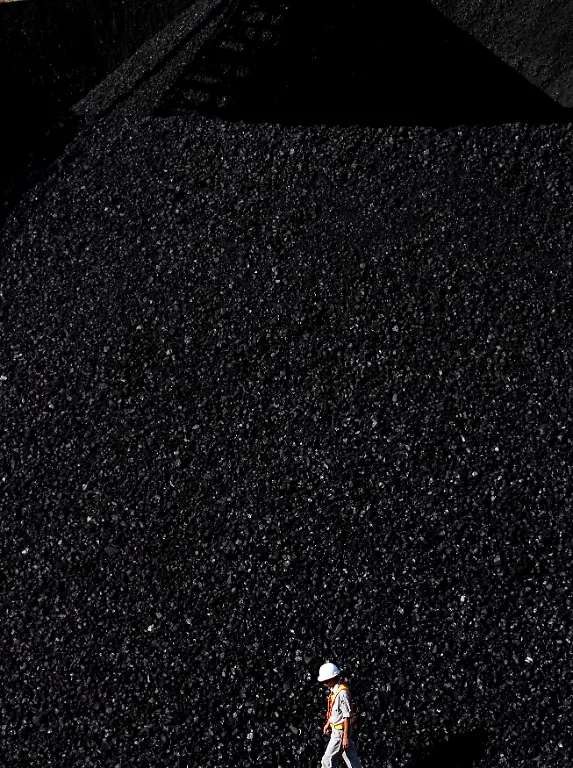 2010-08-13T120000Z-1373454905-GM1E68D1IFA01-RTRMADP-3-COAL-INDONESIA-OUTPUT