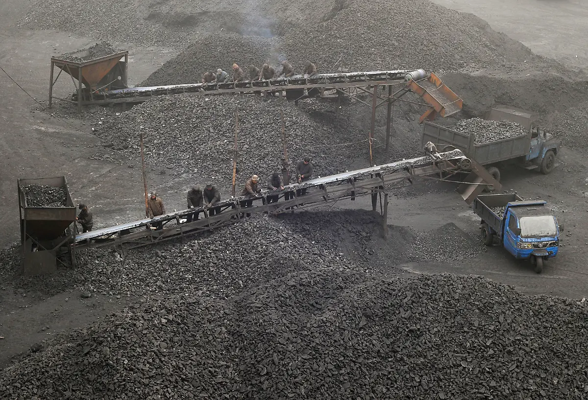 2010-02-07T000000Z-1744401733-GM1E6271EPZ01-RTRMADP-3-AUSTRALIA-COAL