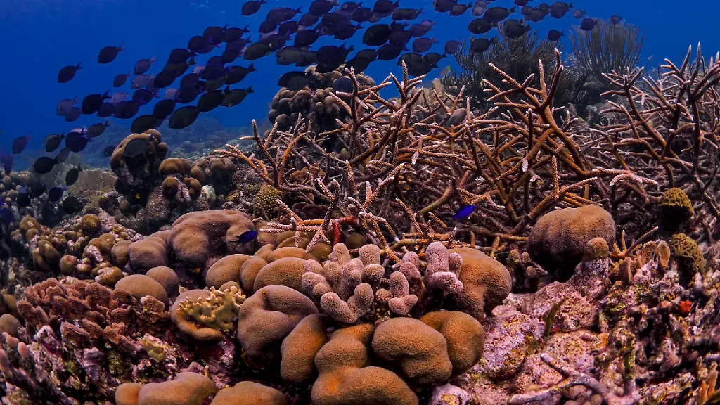 ACHTUNG-Frei-nur-im-Zusammenhang-mit-der-Berichterstattung-ueber-die-Studie