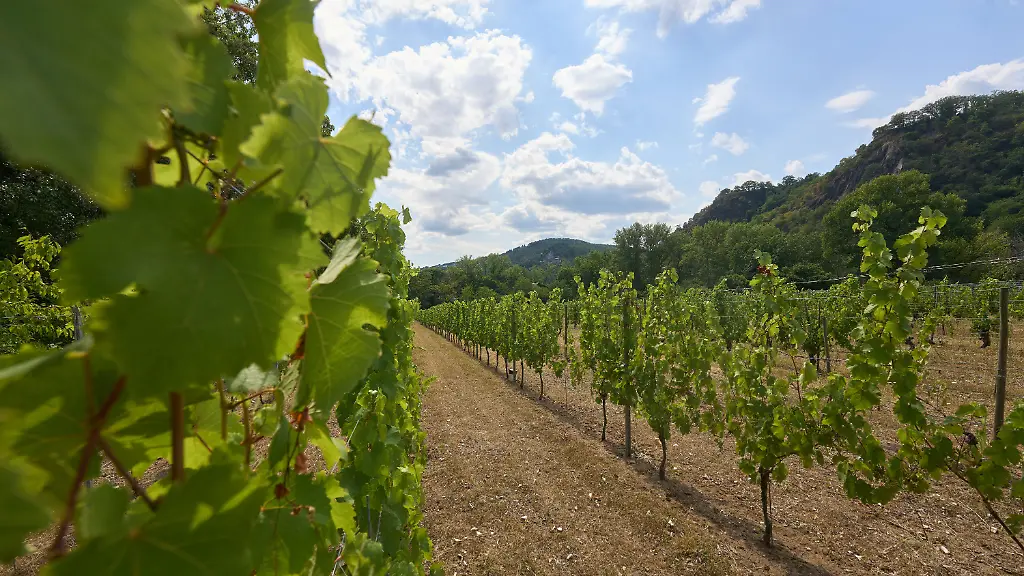 b4d46bef1a16b76d4ccad369873ac706