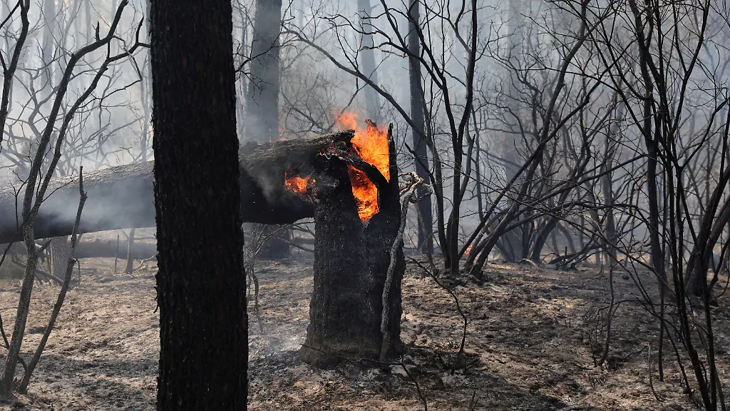 2022-07-19T114722Z-1166017372-RC2YEV94HTW2-RTRMADP-3-EUROPE-WEATHER-FRANCE-WILDFIRES