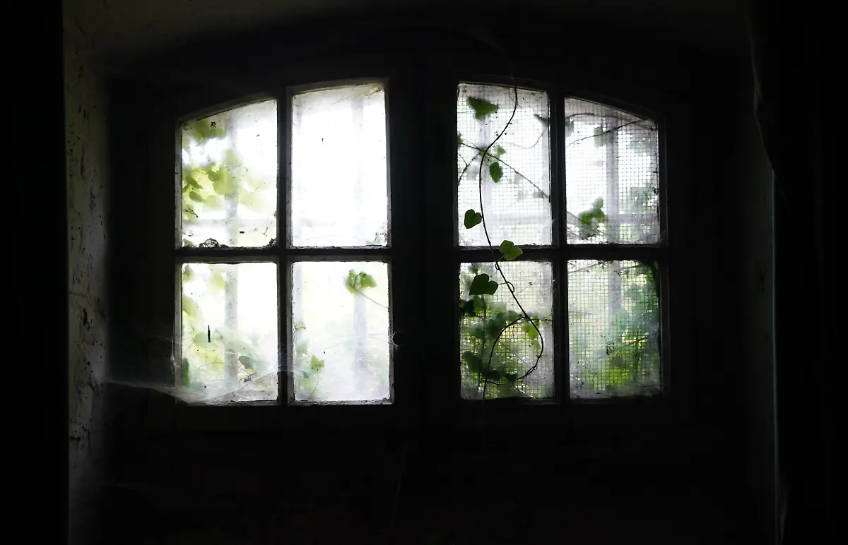 cb85b89357dbab84a8921dfd08fdaee4