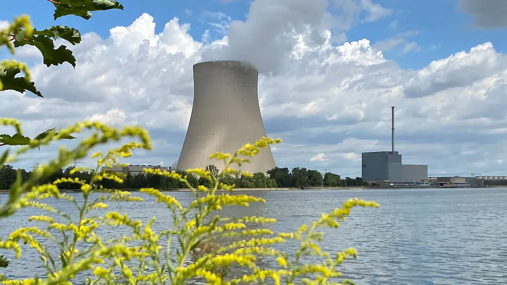 dfe0070b7b68bd18623158d863d84229