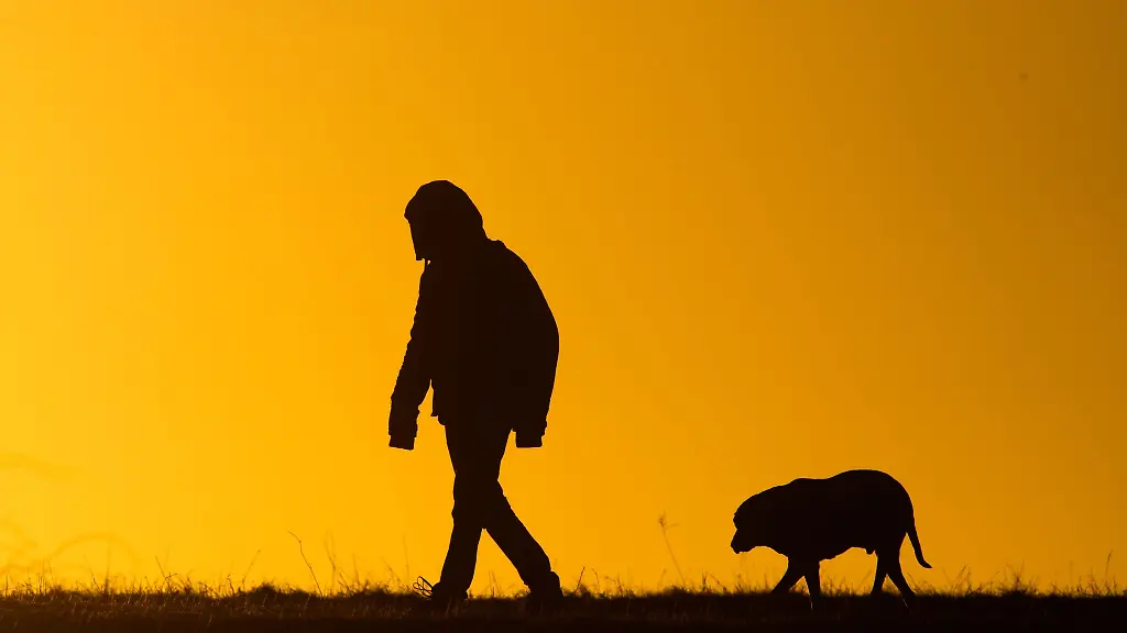 Ein-Mann-spaziert-mit-einem-Hund-bei-Sonnenaufgang-ueber-einen-Feldweg