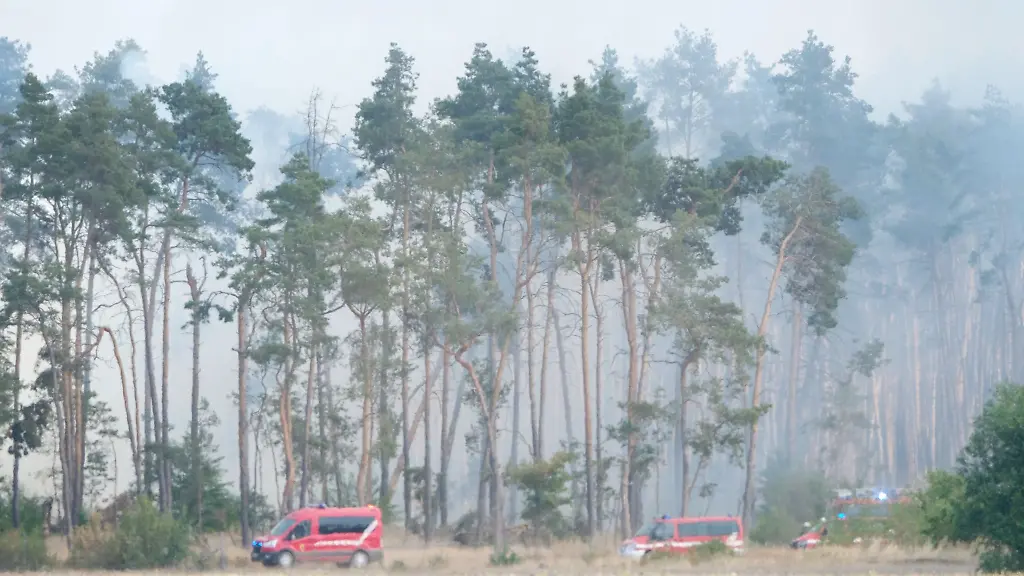 Qualm-von-Glutnestern-und-kleineren-Feuern-steht-in-einem-Wald-im-Landkreis-Elbe-Elster