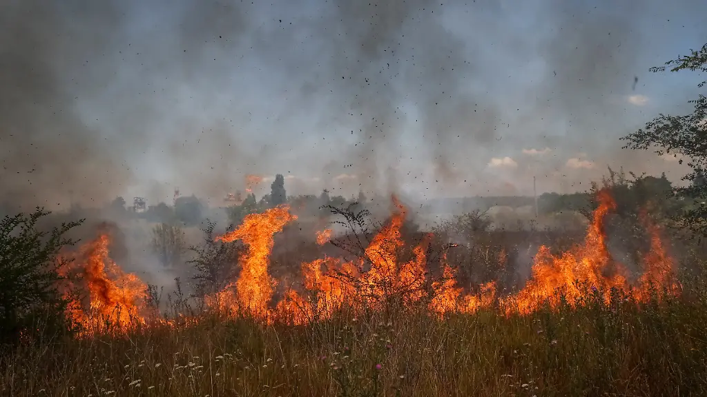 1431042a11da0afd8ebefcb16ba76cb1