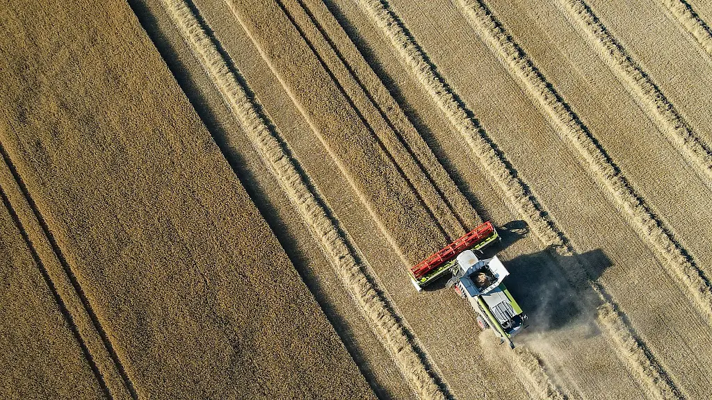 Ein-Landwirt-erntet-mit-einem-Maehdrescher-sein-Feld
