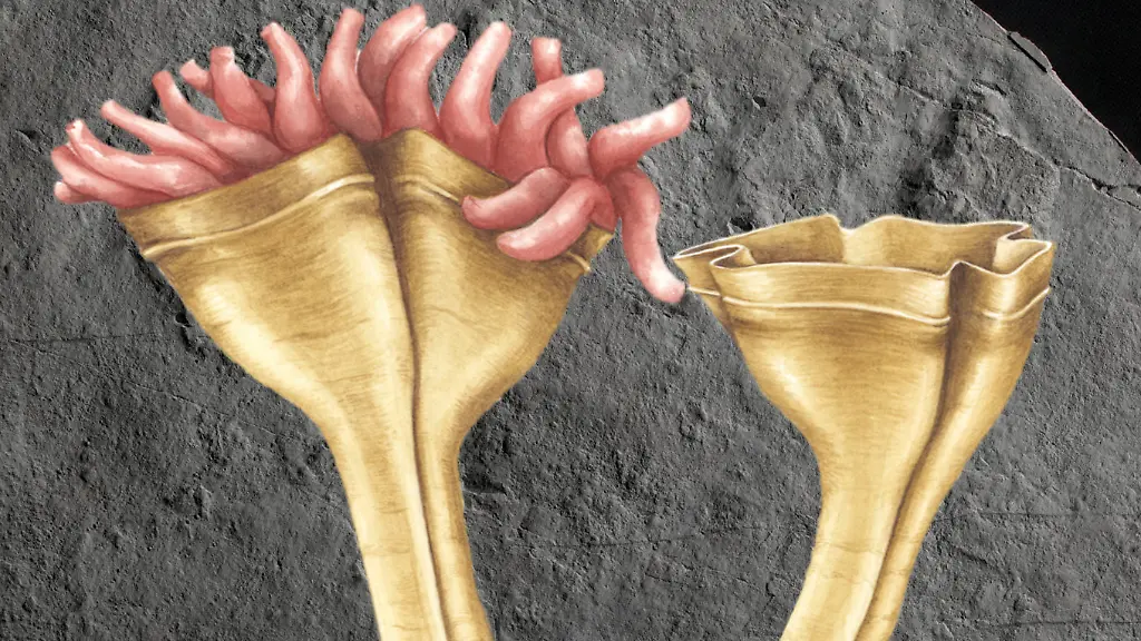 5088a3c9d81fa624a27295294c0533f0