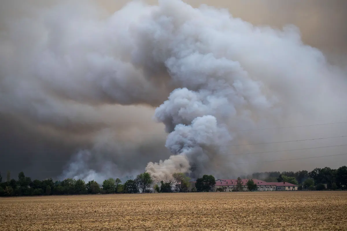 bdc055191da5fec30db81cc56e4c8de9