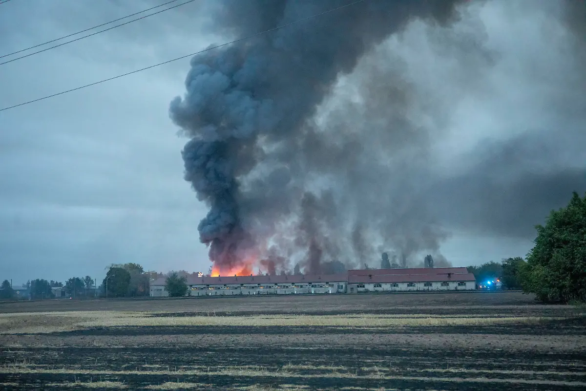 d41d56f9317a8d23fdd5a8bb35a33fb9