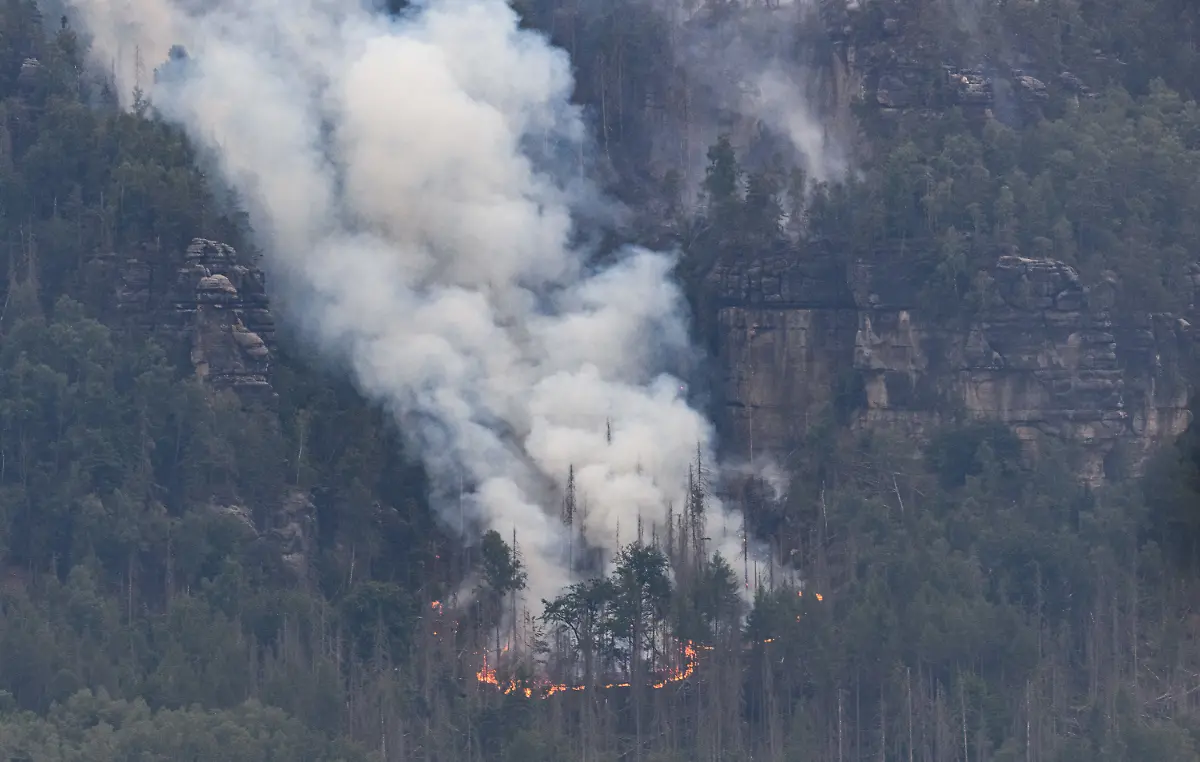 ed9b5fa4e18adc2505dbcb66951f9e71