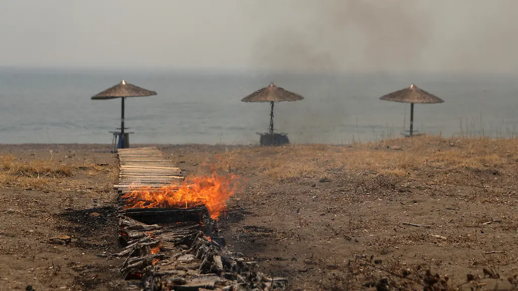 cb0d4cfcd3a45cd746ab168a38a25035