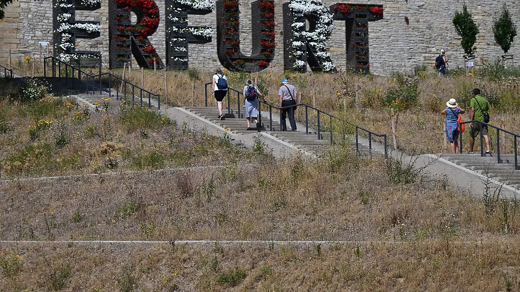 Vertrocknete-Blumen-und-braunes-Gras-sind-am-Rande-des-frueheren-BUGA-Gelaendes-in-Erfurt-zu-sehen