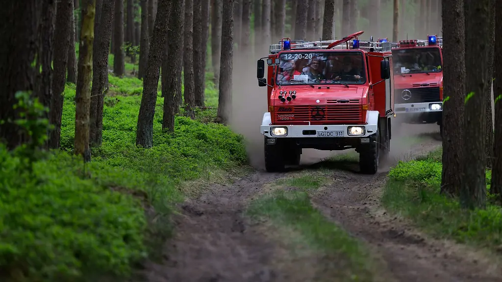Einsatzfahrzeuge-fahren-bei-einem-Waldbrand-zum-Brandort