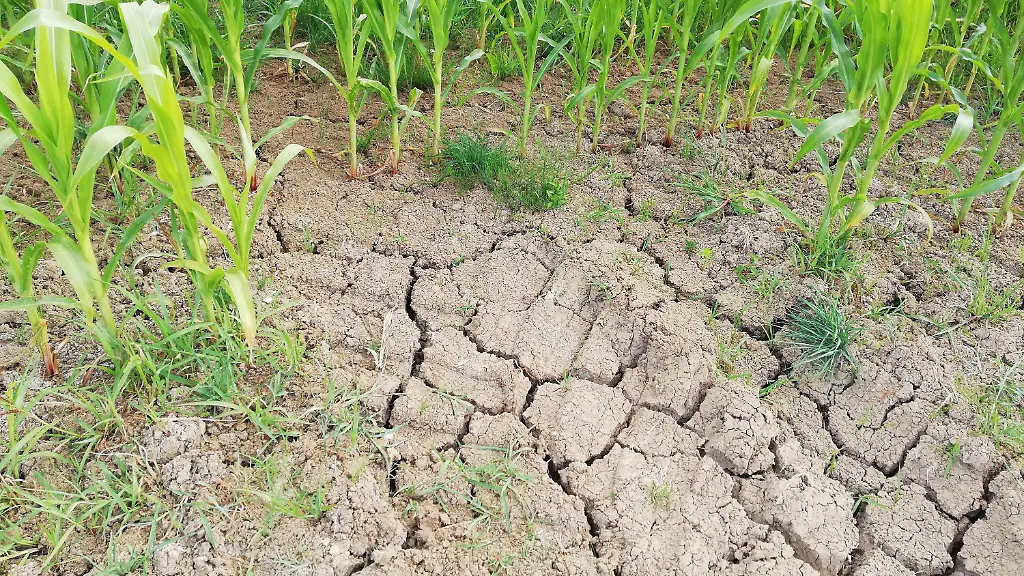 8340e72049ded096b961aec1daeca11d