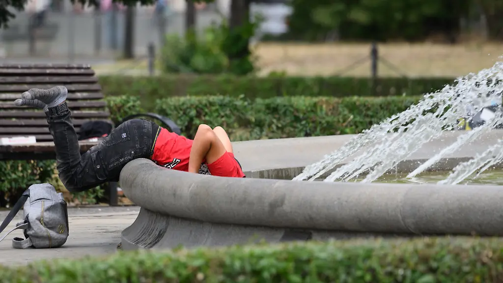 7dd3c0ab4897f62055a9697ec232e844