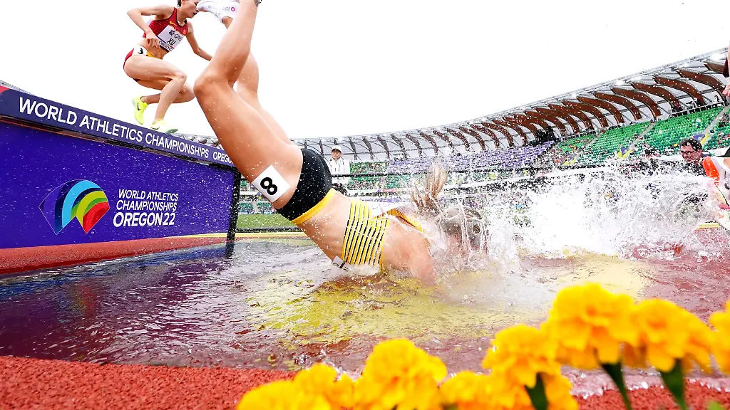 12cb7b633d3f62e9dd85c9e306401593