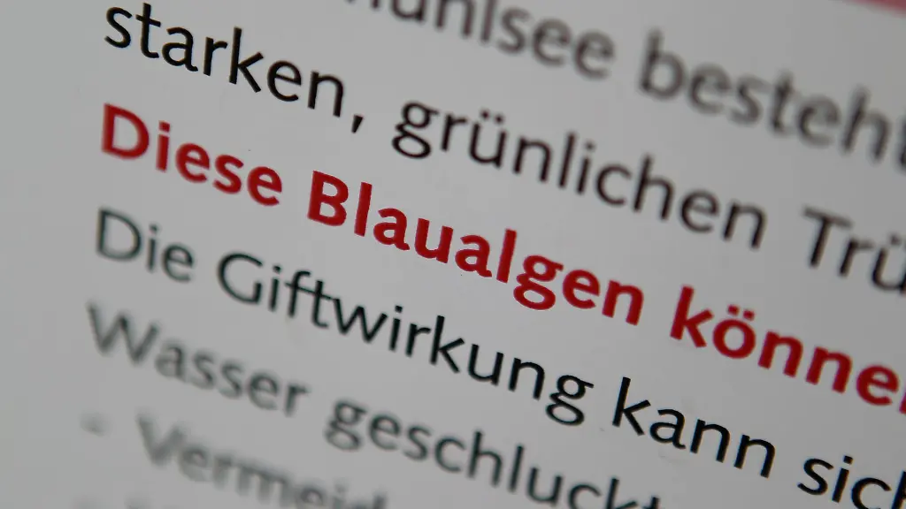 Wegen-der-Sommerhitze-sind-auch-in-diesem-Jahr-wieder-die-ersten-nordbayerischen-Seen-wegen-Algenbildung-fuer-Badegaeste-gesperrt