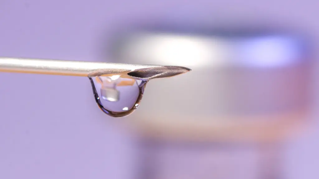 28645dd0f7962e9b94b5bbd3e3db1512