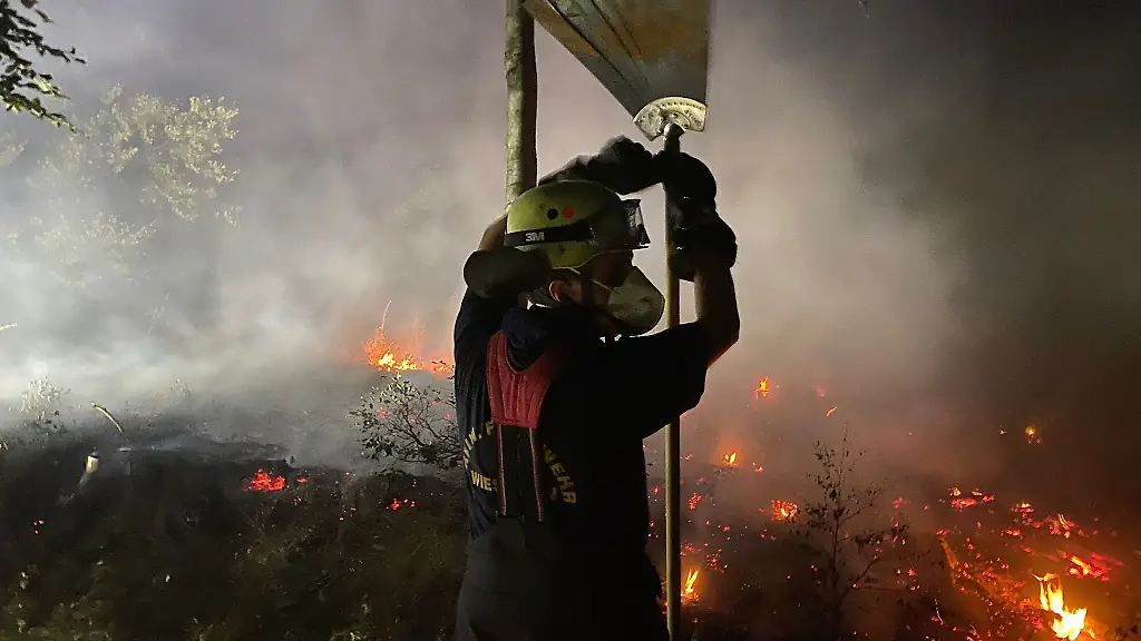 Ein-Feuerwehrmann-arbeitet-im-Wald-noerdlich-der-Stadt-mit-einer-sogenannten-Feuerpatsche