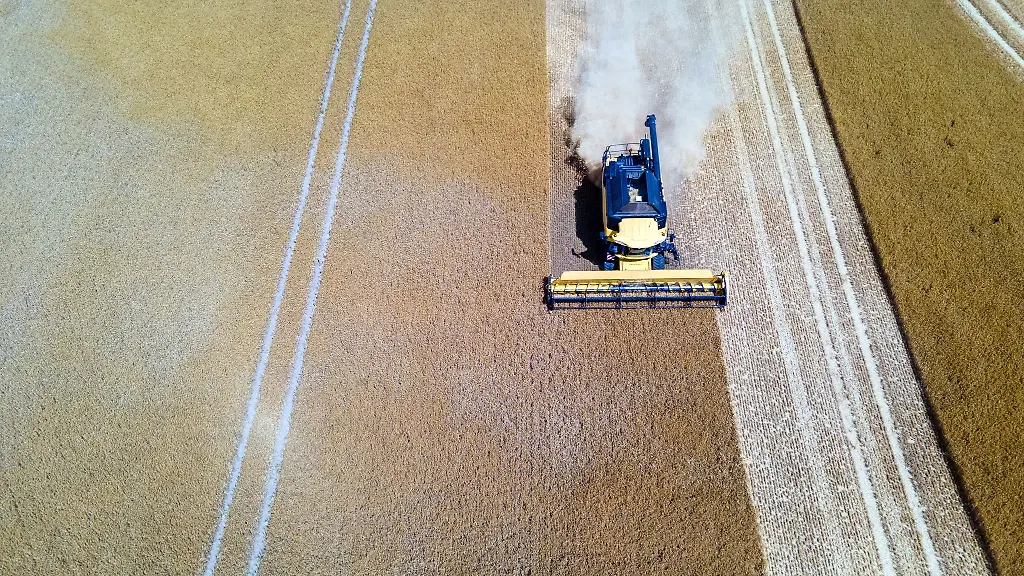 Ein-Landwirt-erntet-mit-seinem-Maehdrescher-Wintergerste-auf-einem-Feld