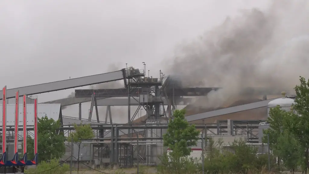 Rauch-steigt-ueber-einem-Zellstoffwerk-auf