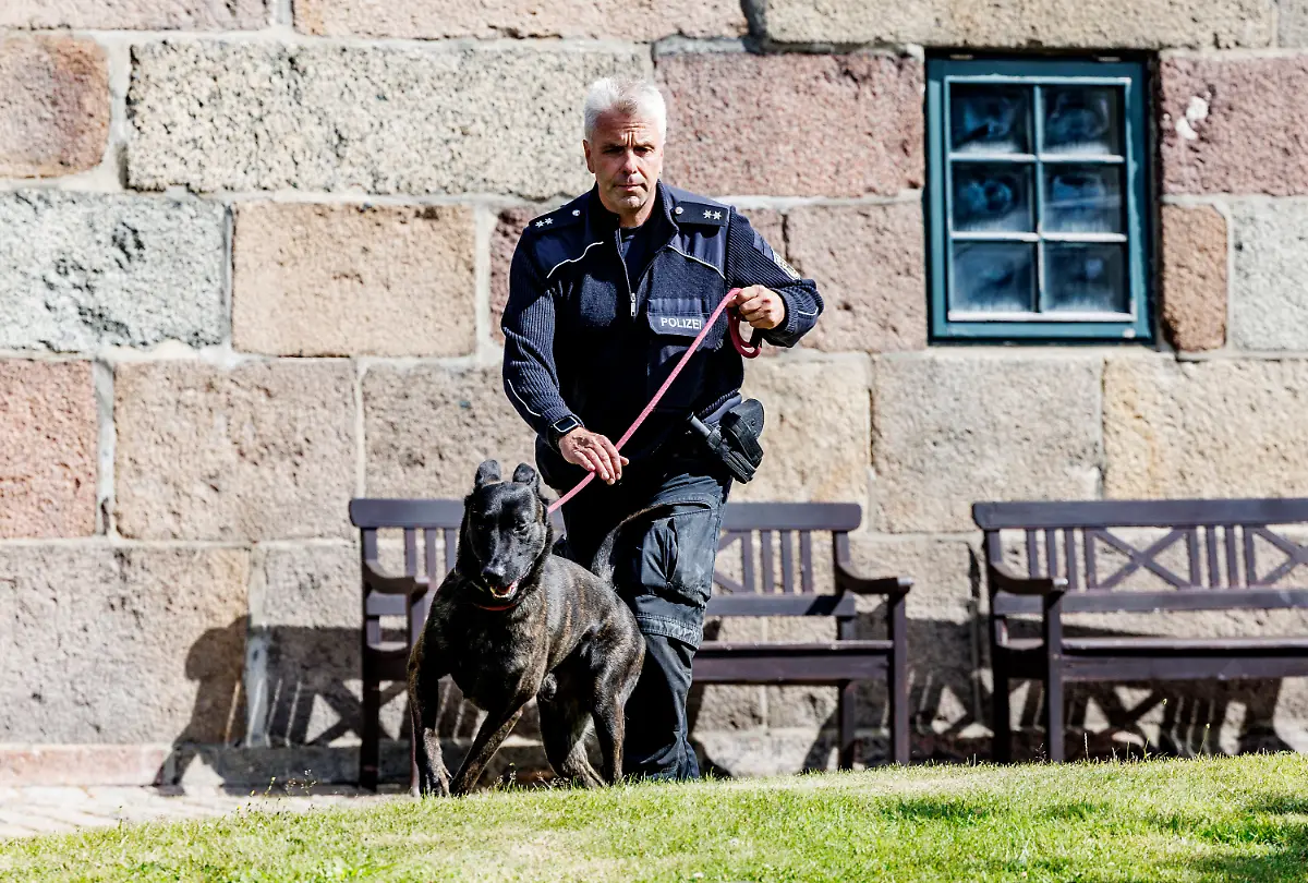 15aa30d8128fd2c8e92b08a5fae64e6b