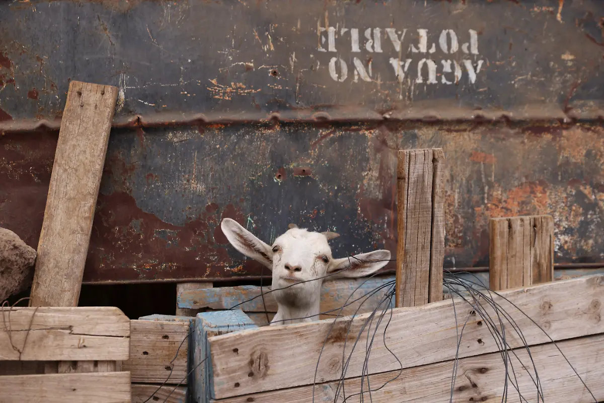 2022-04-21T000000Z-1525131449-RC2SRT9DXODY-RTRMADP-3-CLIMATE-CHANGE-CHILE-DROUGHT