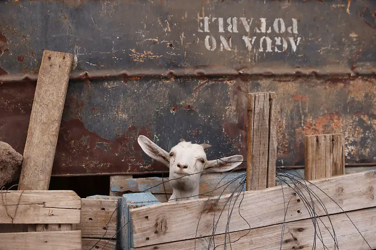 2022-04-21T000000Z-1525131449-RC2SRT9DXODY-RTRMADP-3-CLIMATE-CHANGE-CHILE-DROUGHT
