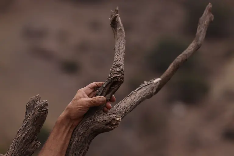 2022-04-21T000000Z-1449497703-RC2SRT9LHORB-RTRMADP-3-CLIMATE-CHANGE-CHILE-DROUGHT