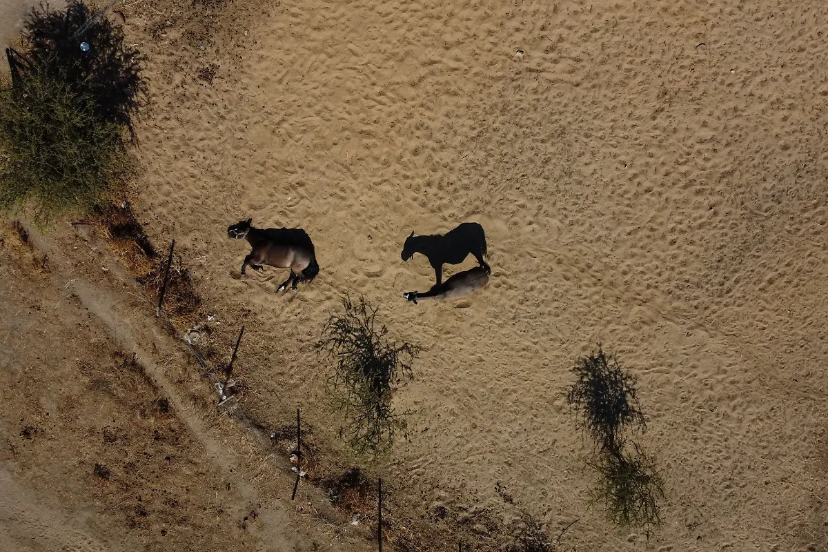 2022-04-20T000000Z-628720447-RC21RT9ZL6K2-RTRMADP-3-CLIMATE-CHANGE-CHILE-DROUGHT