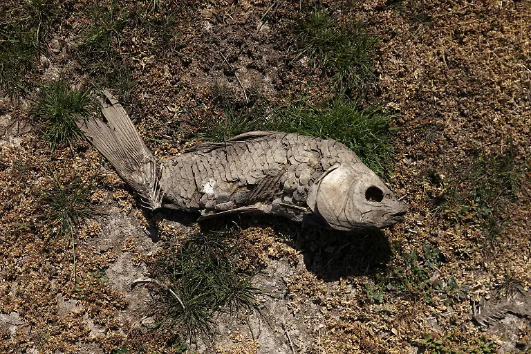 2022-04-19T000000Z-124698307-RC2HQT9ZZFZ3-RTRMADP-3-CLIMATE-CHANGE-CHILE-DROUGHT