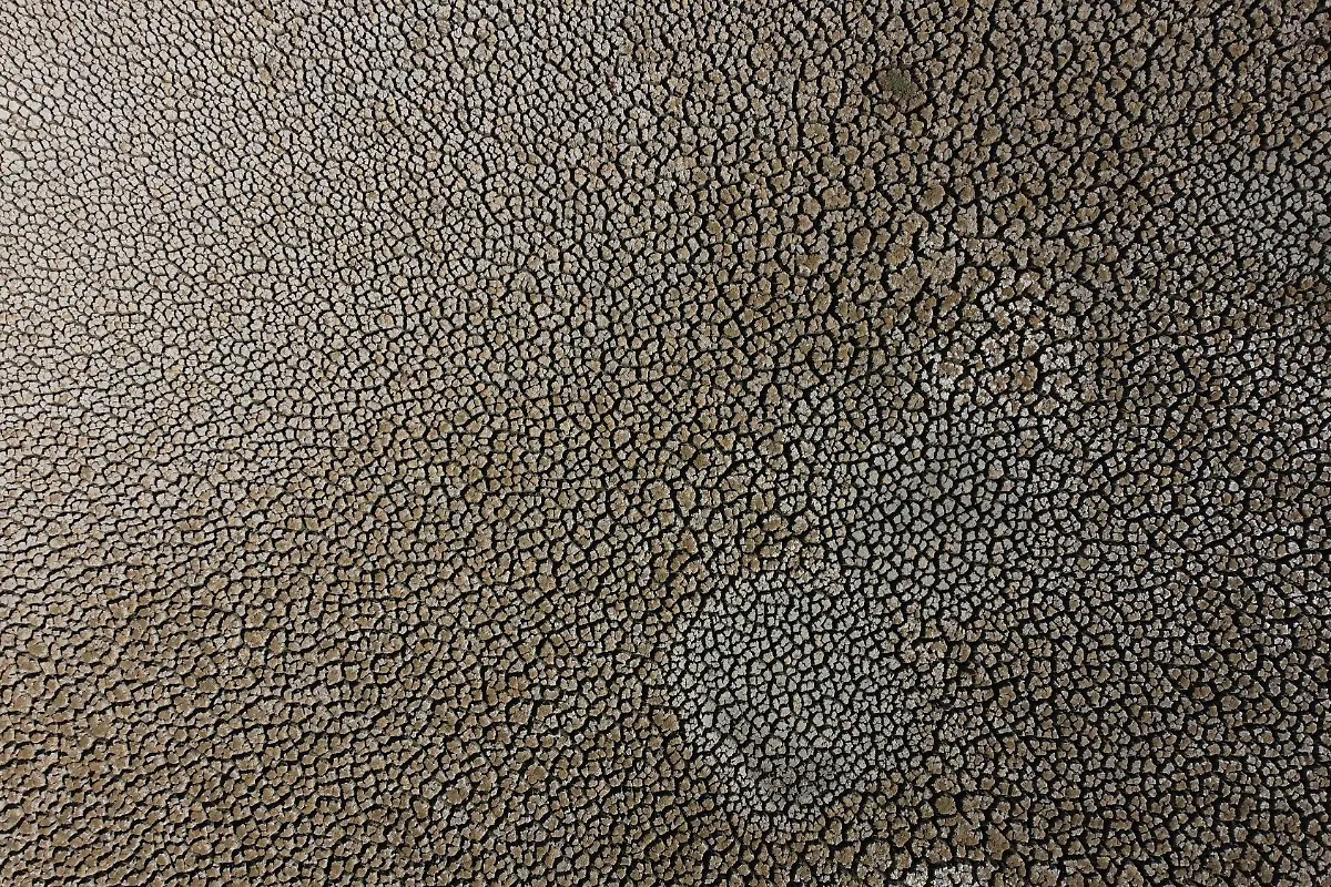 2022-04-19T000000Z-993343873-RC2CQT95REDI-RTRMADP-3-CLIMATE-CHANGE-CHILE-DROUGHT