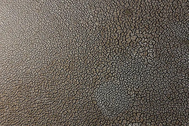 2022-04-19T000000Z-993343873-RC2CQT95REDI-RTRMADP-3-CLIMATE-CHANGE-CHILE-DROUGHT