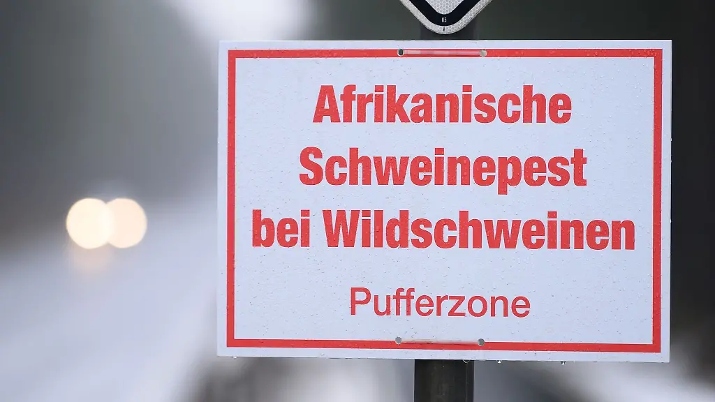 Ein-Schild-mit-der-Aufschrift-Afrikanische-Schweinepest-bei-Wildschweinen-Pufferzone-haengt-an-einem-Verkehrsschild