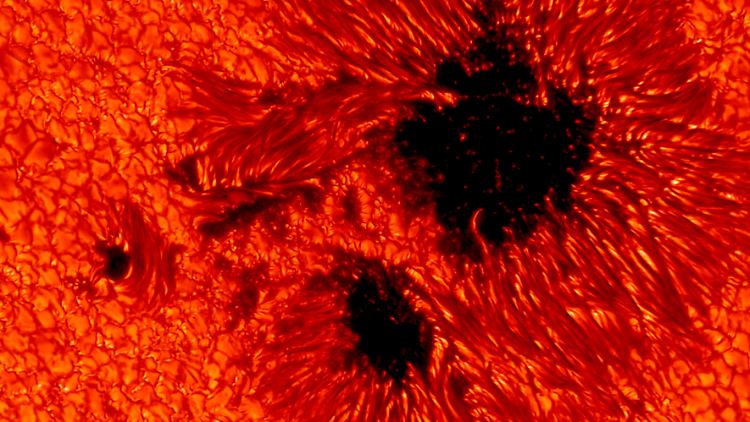 Sonnenflecken im Detail: Magnetfelder bewirken an manchen Stellen, dass nicht so viel Wärme aus dem Innern der Sonne in sichtbare Strahlung umgewandelt wird. Deshalb erscheinen die Flecken dunkel.