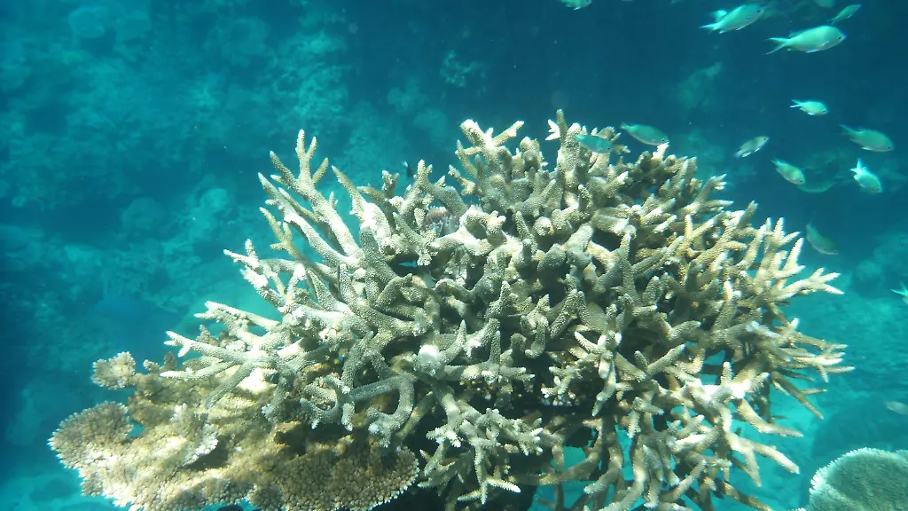 dd0c31f77e4f7080d74396b99afcd0f9