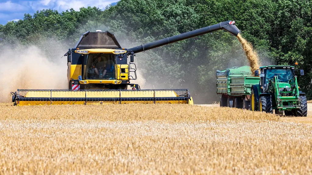 Ein-Landwirt-erntet-mit-seinem-Maehdrescher-Wintergerste-auf-einem-Feld