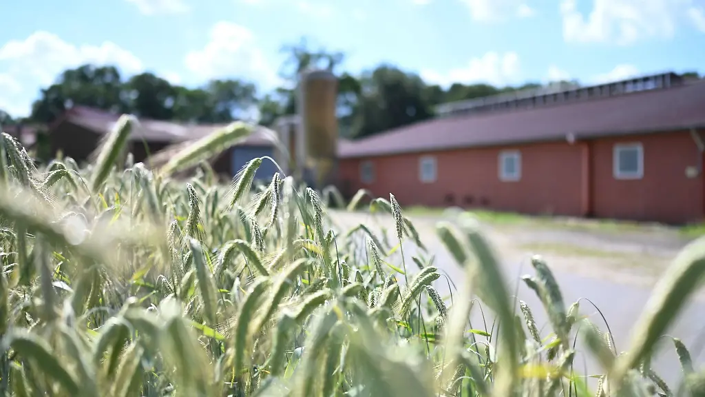 Der-Landwirtschaftlichebetrieb-in-dem-die-Afrikanische-Schweinepest-ASP-ausgebrochen-ist
