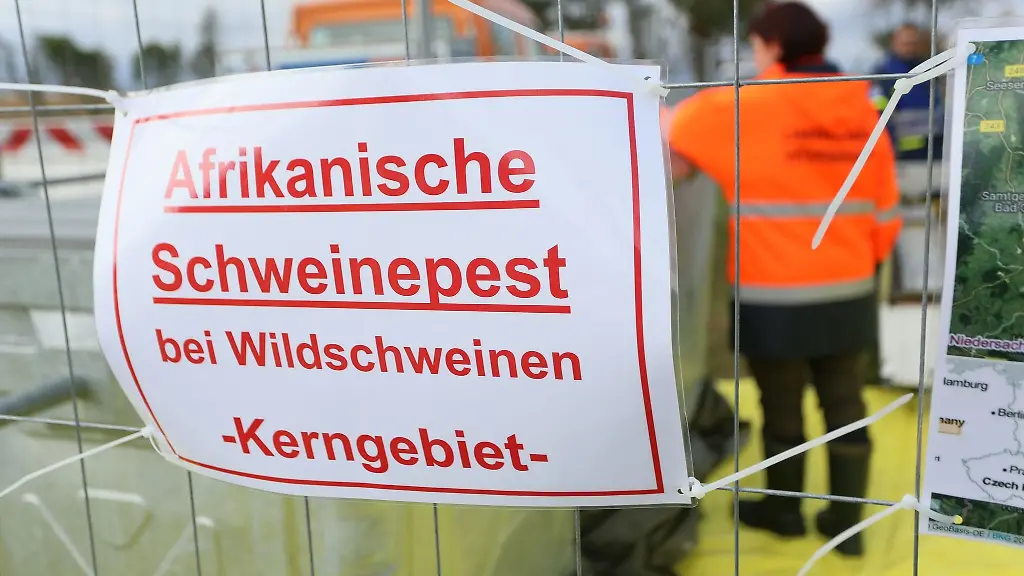 Ein-Schild-mit-der-Aufschrift-Afrikanische-Schweinepest-haengt-an-einem-Zaun