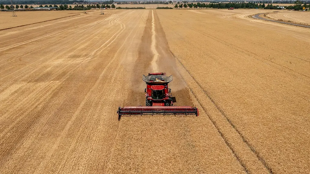Ein-Maehdrescher-erntet-Gerste-auf-einem-Feld
